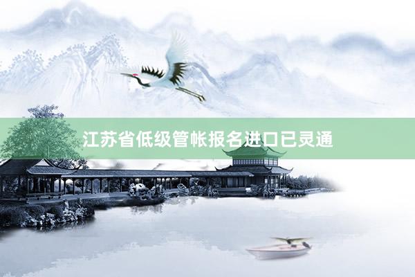 江苏省低级管帐报名进口已灵通