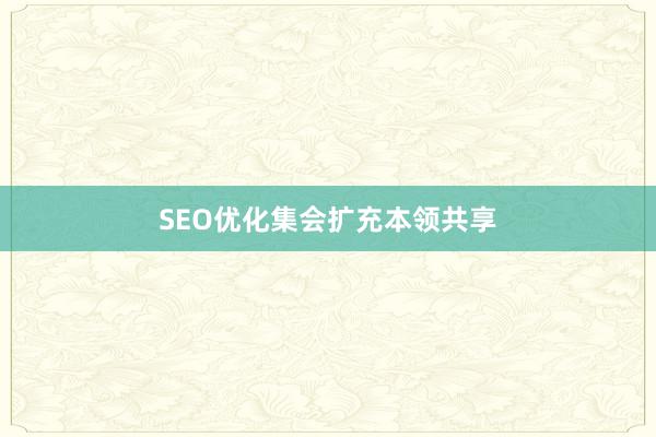 SEO优化集会扩充本领共享